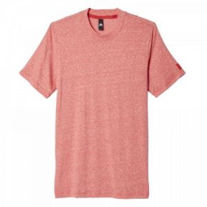 Koszulka adidas Basic Tee M AY1687