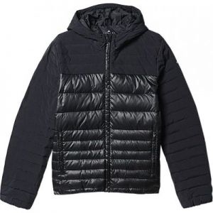 Kurtka adidas Cosy Down Jacket M AP9568