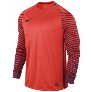 Koszulka bramkarska Nike Gardien LS M 725882-671