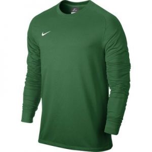 Bluza bramkarska Nike Park Goalie II LS M 588418-302