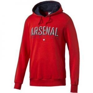 Bluza Puma Arsenal Football Club Fan Hoodie Junior 74914501