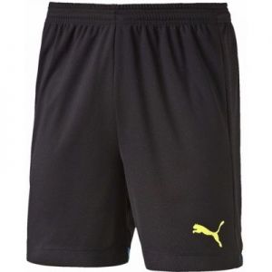 Spodenki Puma IT evoTRG Shorts M 654757511