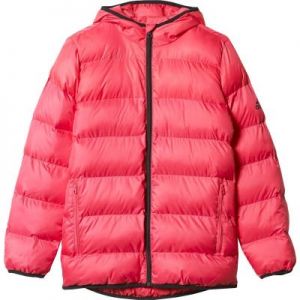 Kurtka adidas Synthetic Down Youth Girls Back To School Jacket Junior AY6787