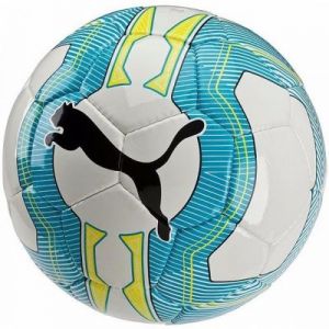 Piłka nożna Puma evoPOWER 4 Futsal 08256701