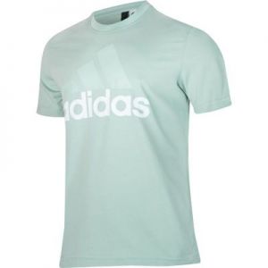 Koszulka adidas Essentials Linear Tee M S98735