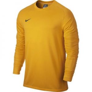 Bluza bramkarska Nike Park Goalie II LS M 588418-739