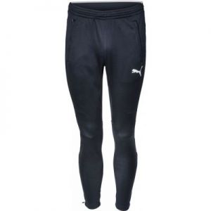Spodnie treningowe Puma Training Pant M 653824061