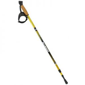 Kijki Nordic Walking 2-częściowe Allright TRKNR2GD złote