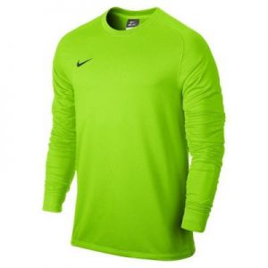 Bluza bramkarska Nike Park Goalie II LS M 588418-303