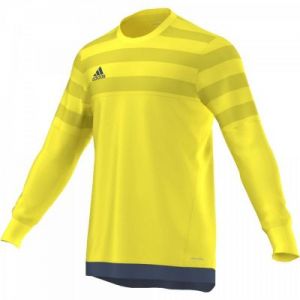 Bluza bramkarska adidas ENTRY 15 GK Junior AP0324