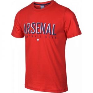 Koszulka Puma Arsenal Football Club Fan High Risk Junior 74914401